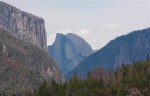 IMG_7975