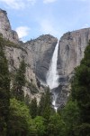 IMG_8208