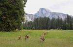 IMG_8277