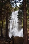 IMG_8635